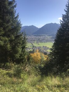 Umgebung
